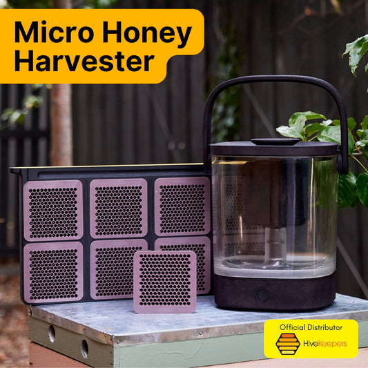 Hive to Harvest Package